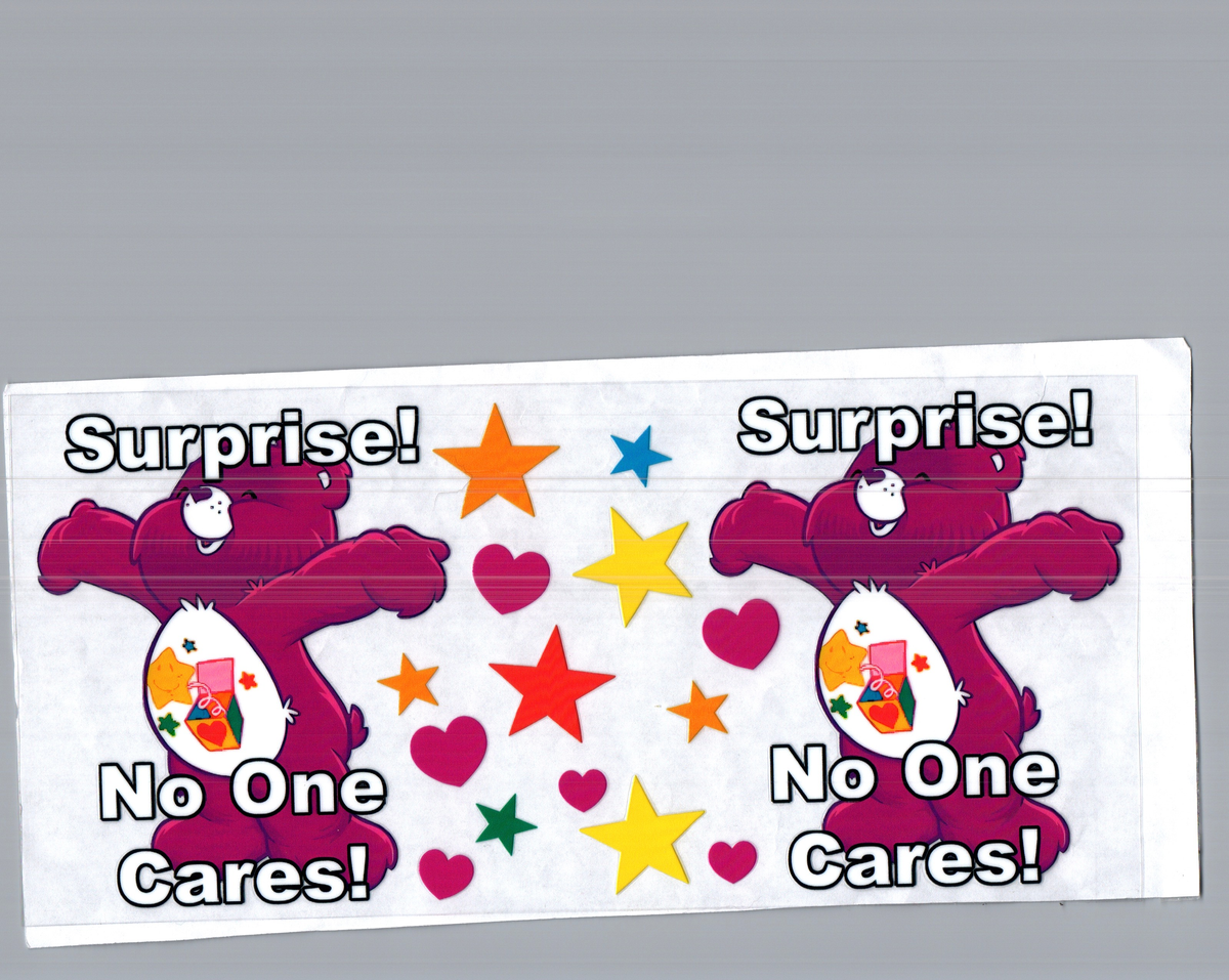 16 oz  surprise no one cares  misc 287