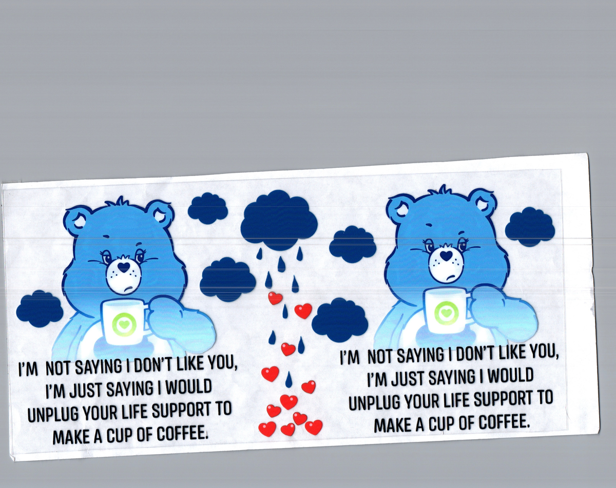 16 oz i'm not saying i don't like you bear misc 288