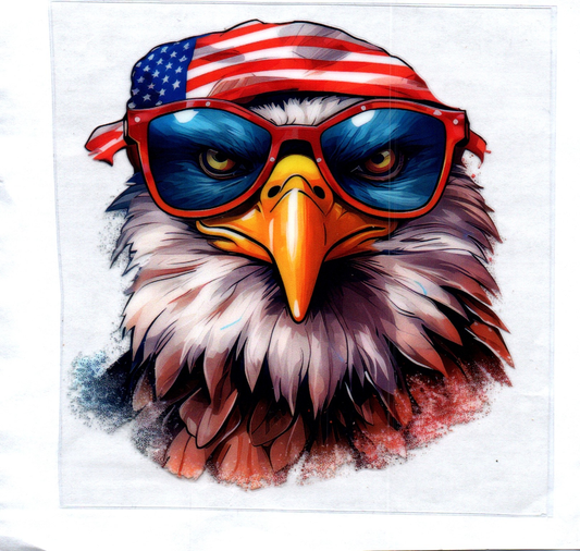 Eagle w/RWB bandana Decal