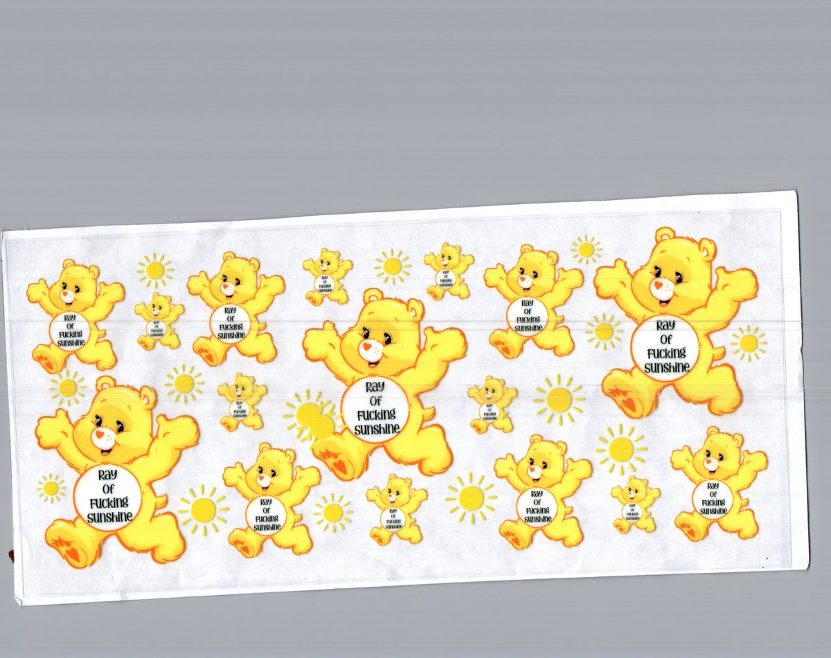 16 oz ray of f***ing sunshine bear misc 309