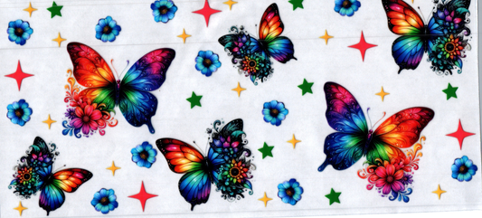 16oz Rainbow Butterfly 32