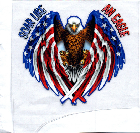 Soar like an Eagle Decal