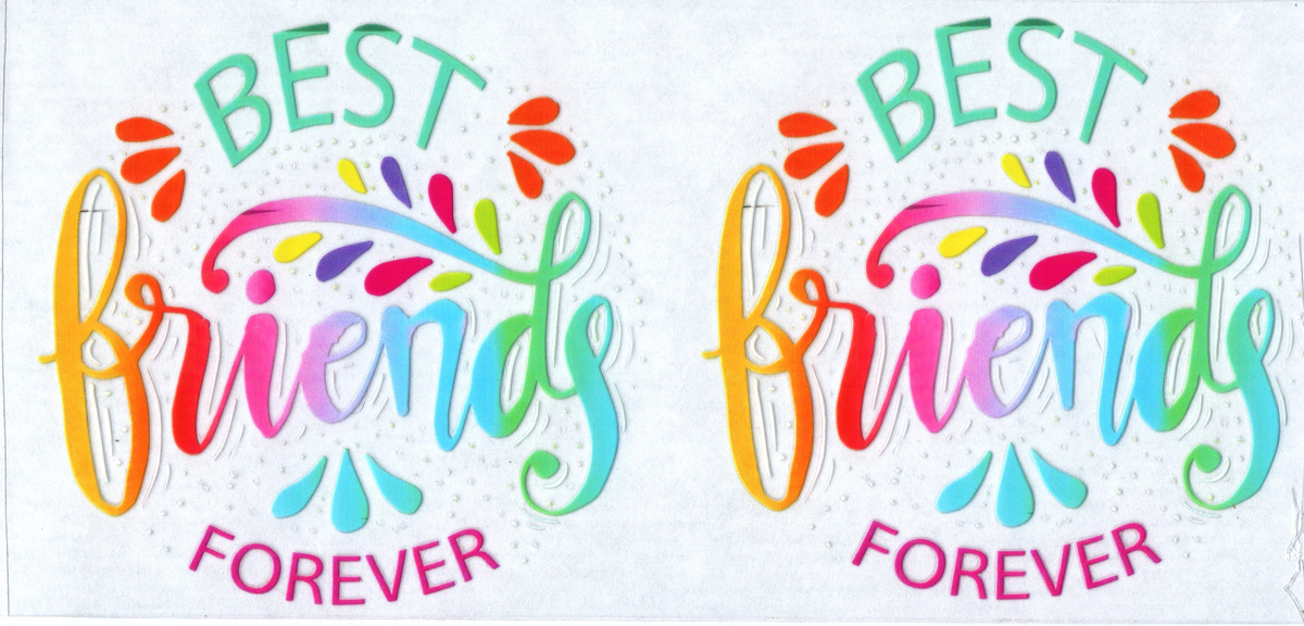 16 oz rainbow Best friends forever 3