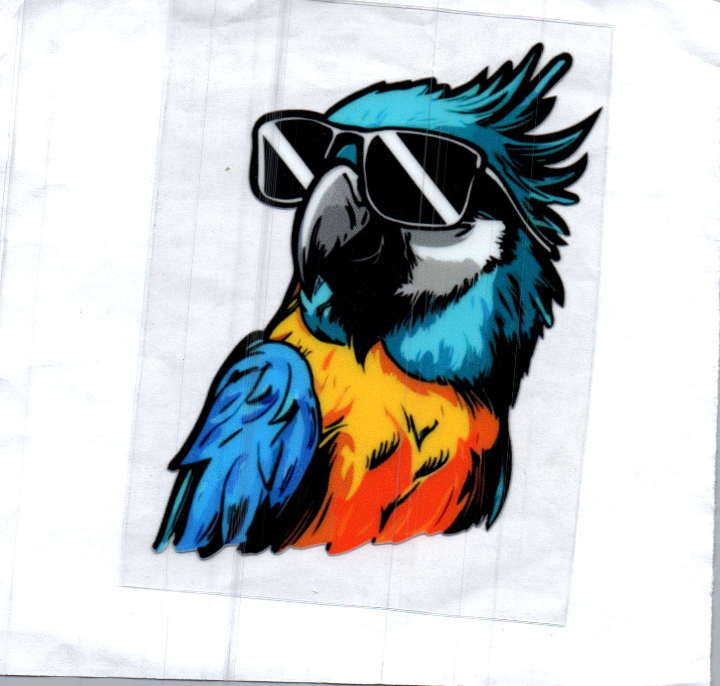 Parrot left Decal