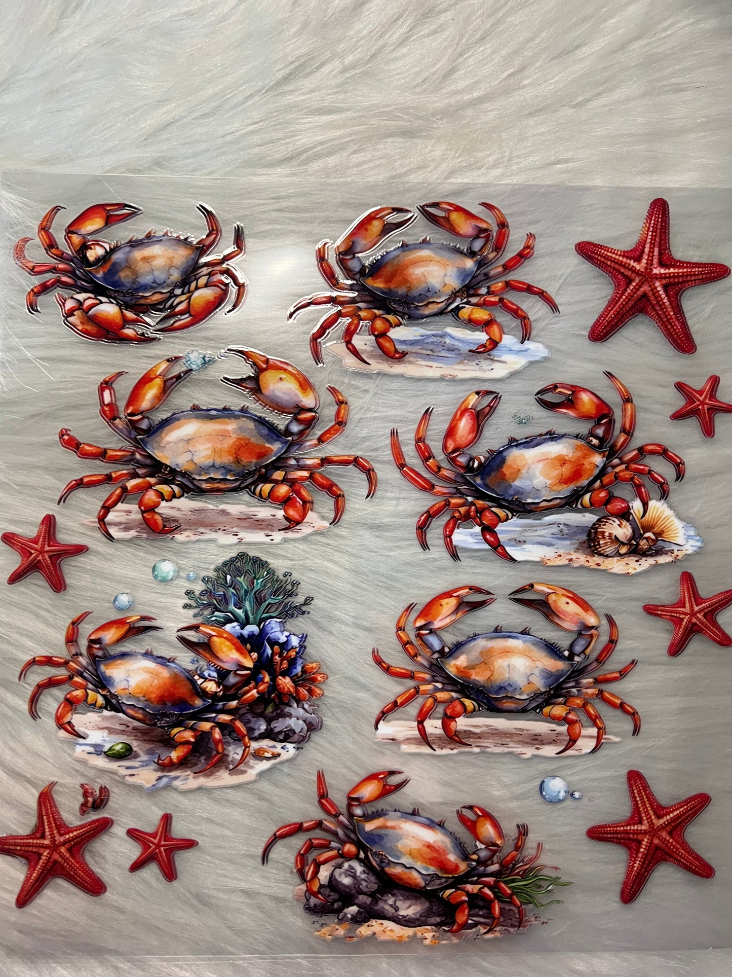 Orange Crabs & Starfish Element