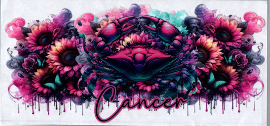 16oz Zodiac Pink Flower Cancer 34