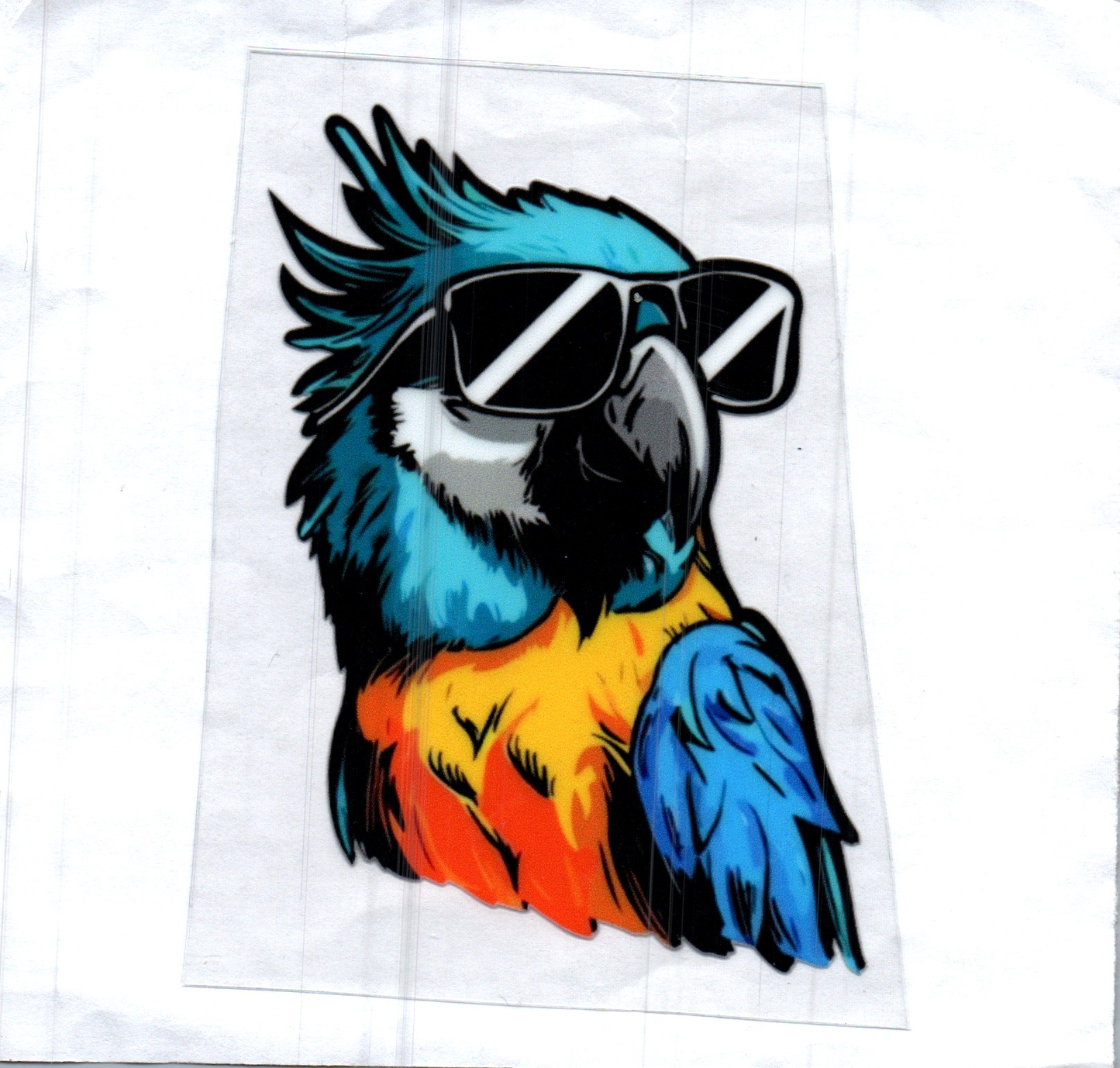 Parrot right Decal