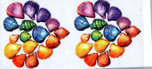 16 oz Shells Sea Life 37 2 Decals