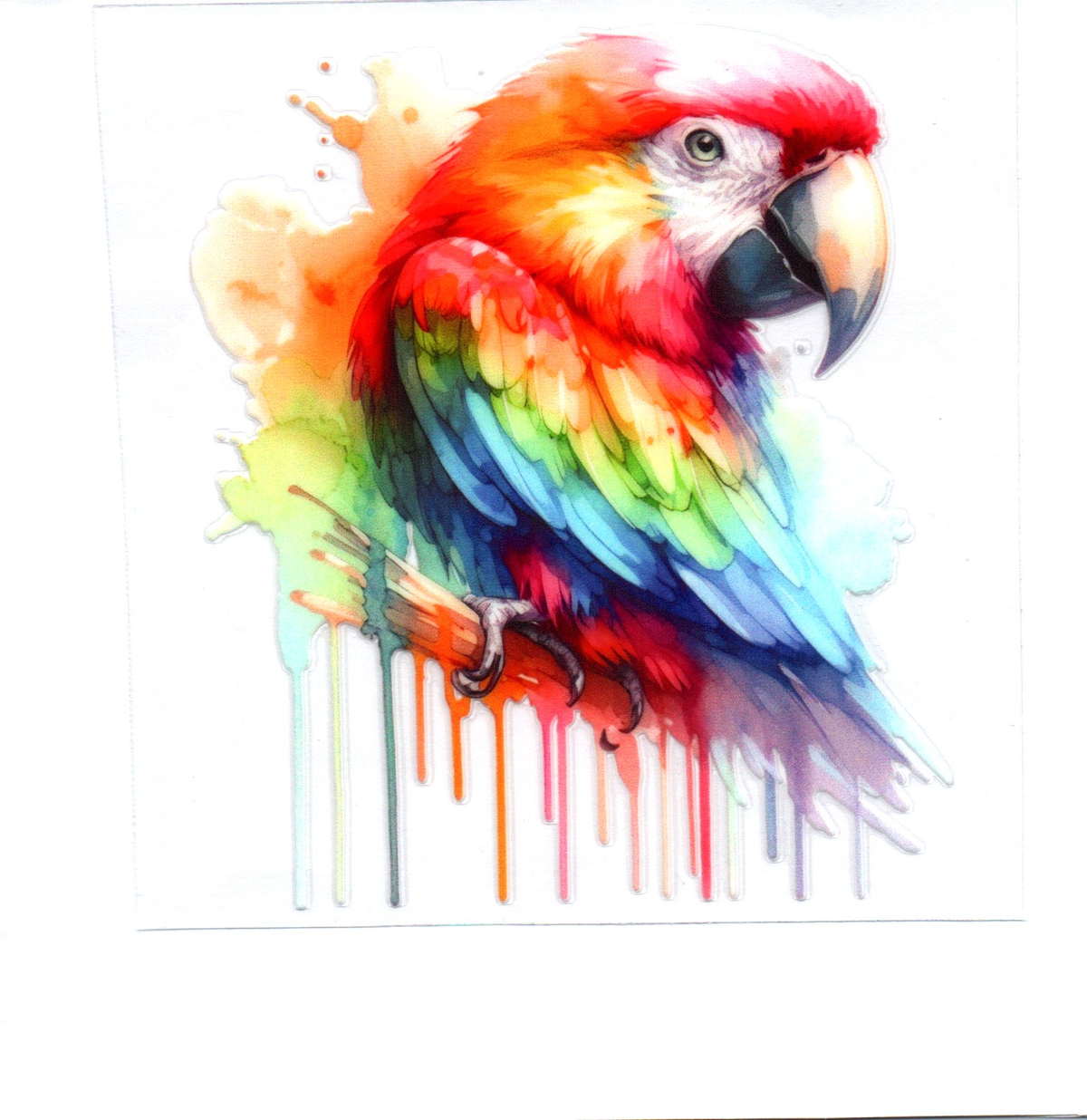 Rainbow Toucan Single Decal 37