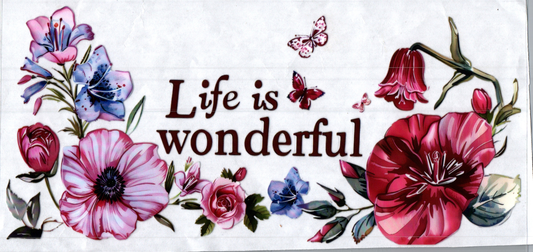 16oz Life is wonderful Inspirational