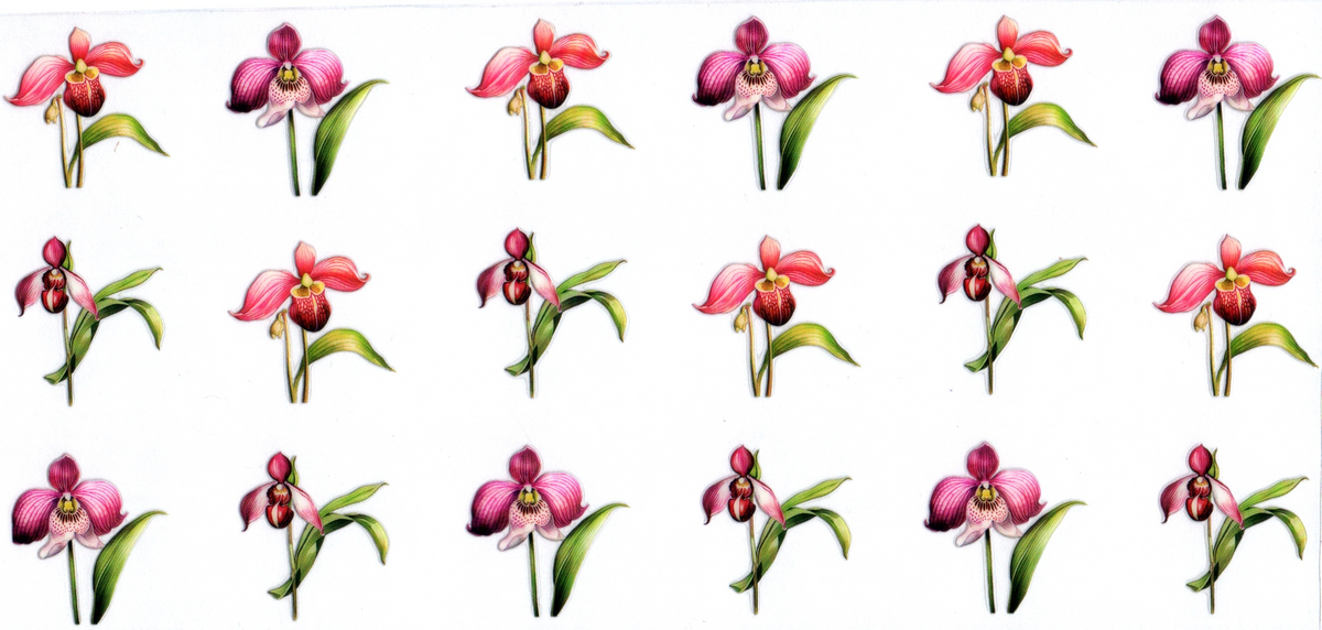 16 oz purplish pink flowers 38