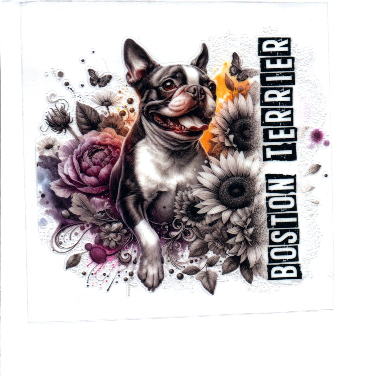 Boston Terrier Single Decal 38