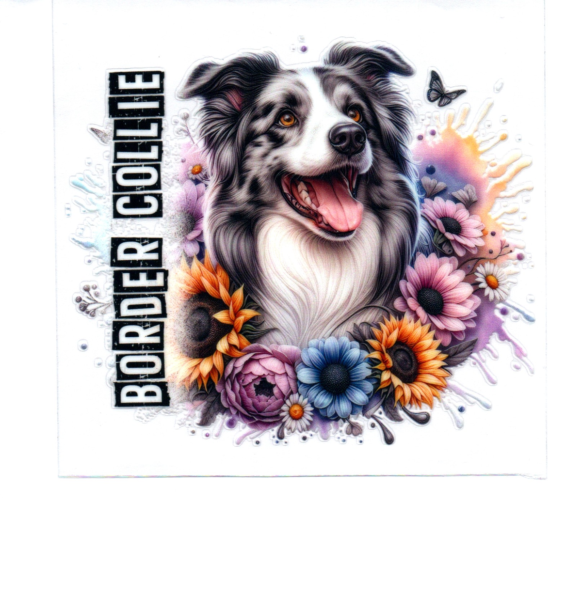 Border Collie Single Decal 39