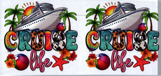 16 oz Cruise Ship 40 2 Decals
