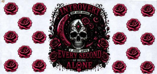 16 oz Introvert not anti-social 40