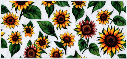 16oz Sunflowers Flowers 41