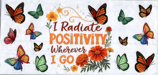 16oz I radiate Positivity Inspirational