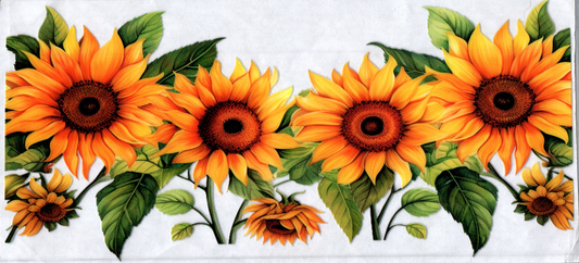 16oz Sunflowers Flowers 43