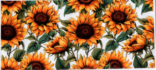 16oz Sunflowers Flowers 44
