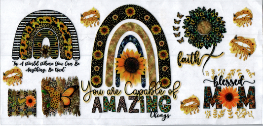 16oz You are capable of amazing things Inspirational