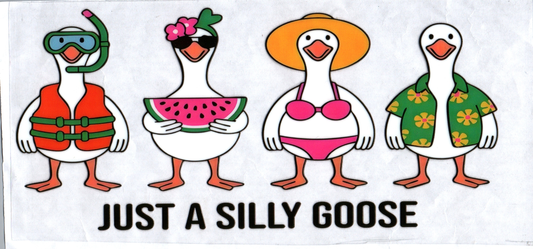 16oz Just a Silly Goose Kids