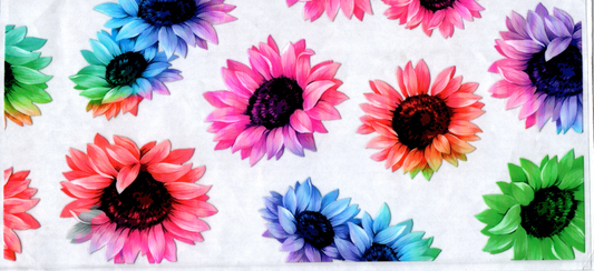 16oz Sunflower Rainbow Flowers 48