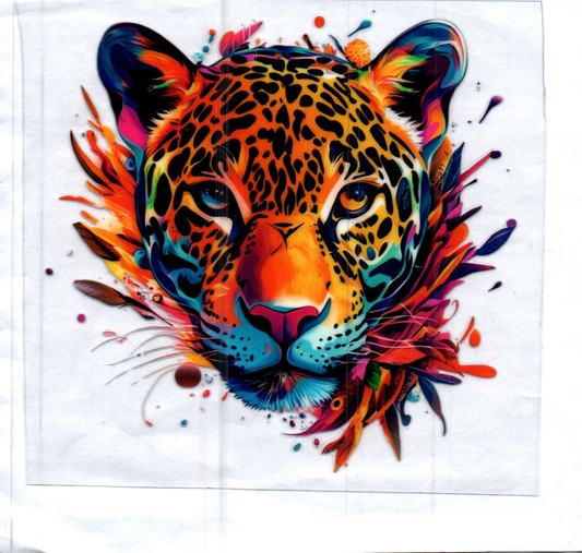 Tiger w/color splash Decal