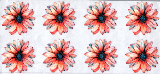 16oz Coral & Blue Flowers 52