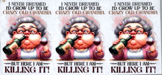 16 oz I never dreamed I'd grow up to be crazy 53