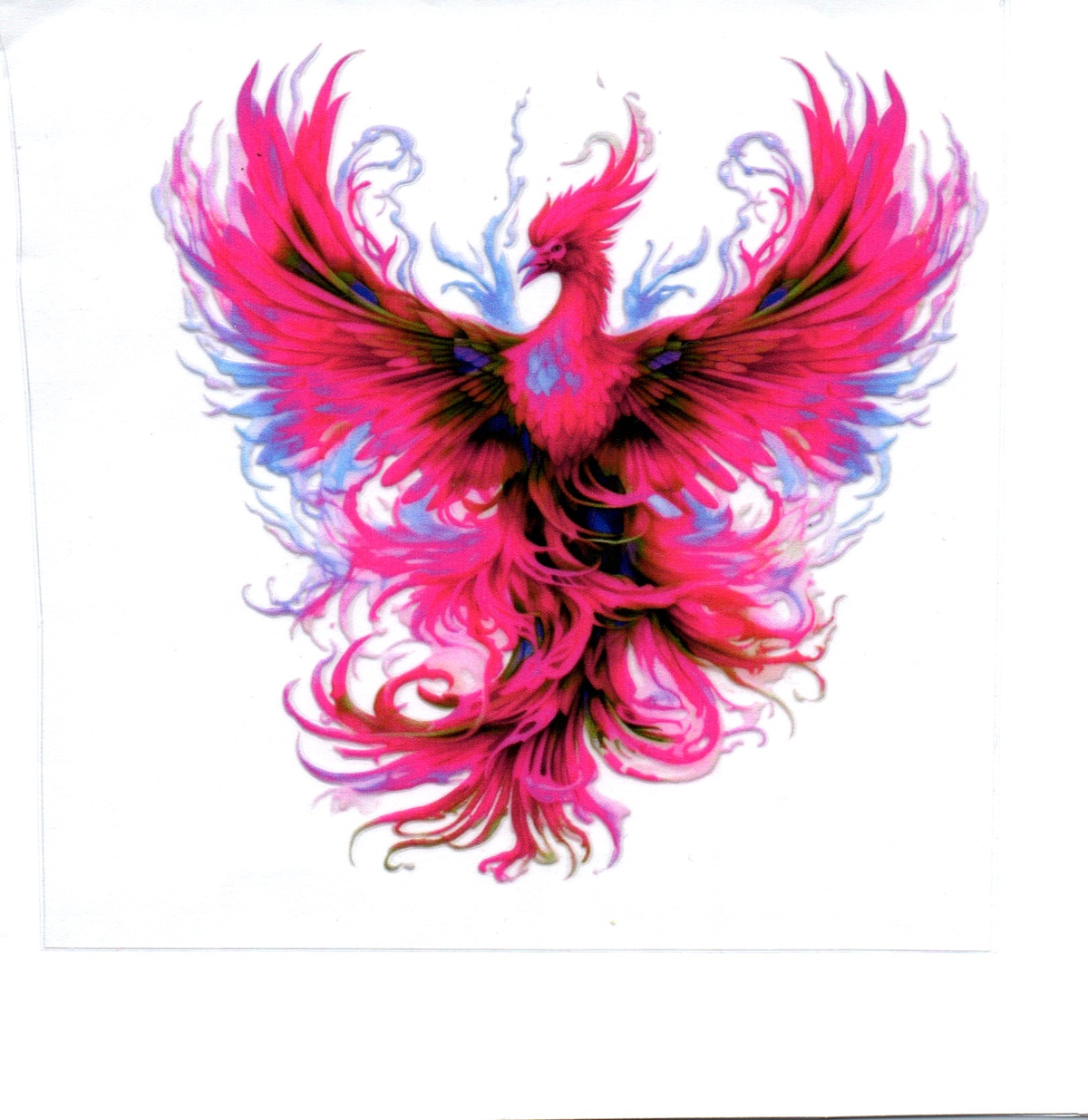 Pink and light blue Phoenix Single Decal 53