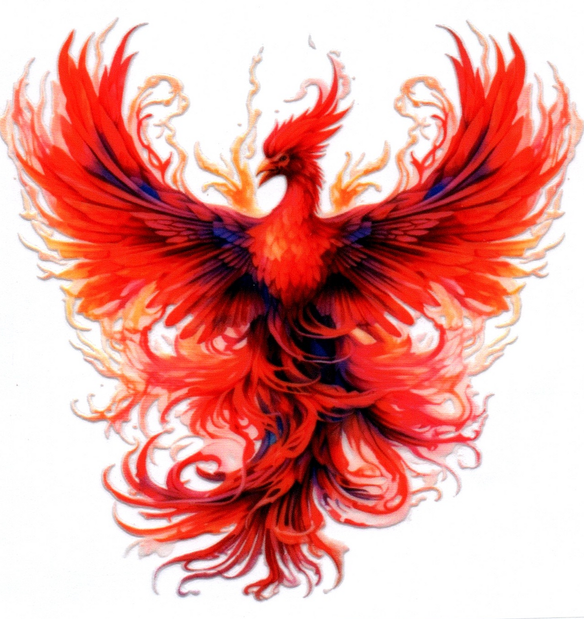 Red Phoenix 5 Single Decal