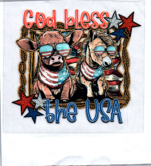 God bless the USA Decal