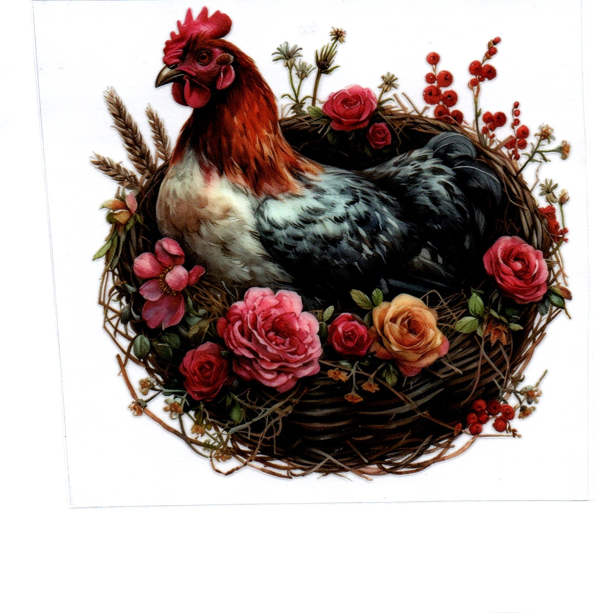 Chicken in nest with flowers Single Decal 57