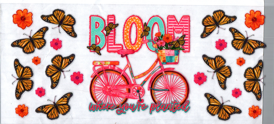 16oz Bloom Inspirational