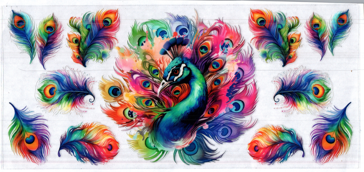 16 oz peacock rainbow feathers assorted 60