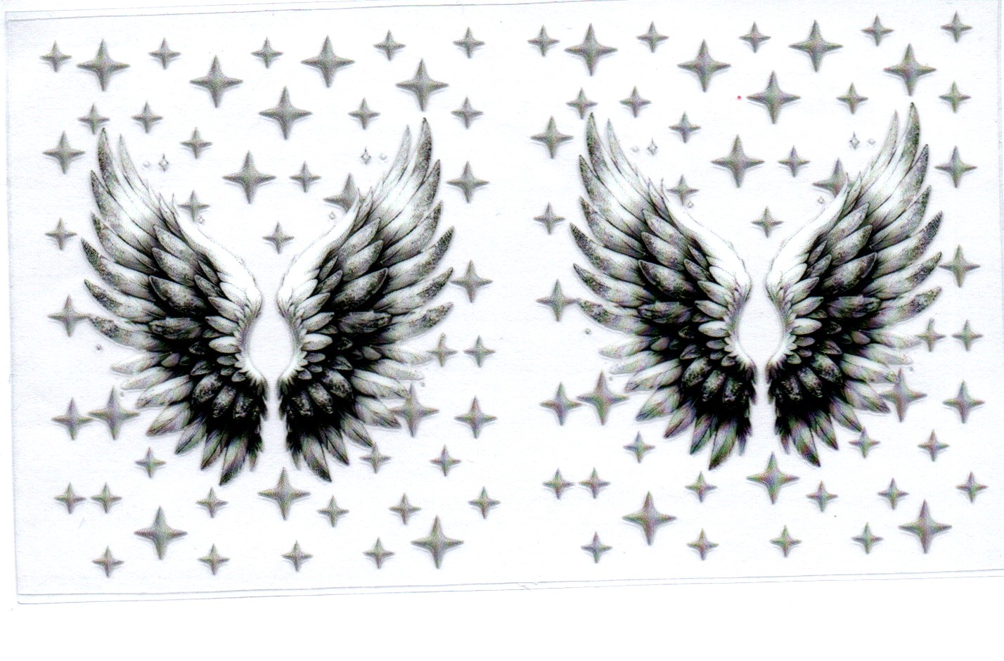 Black and White Wings Spray Bottle Wrap 61