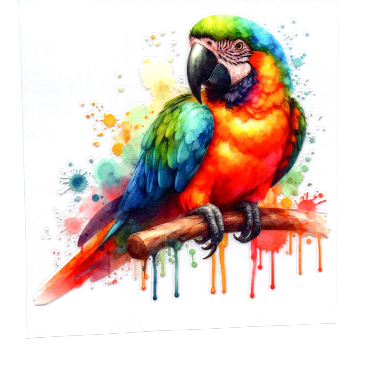 Multicolored parrot Single Decal 61