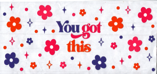 16oz You Got This Inspirational