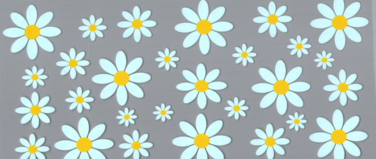 16oz Daisys Flowers 64