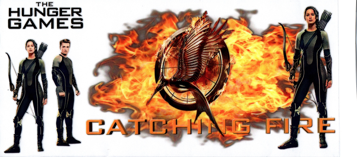 Movie -Catching Fire 65- 16oz wrap