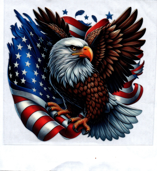 Eagle on Flag Decal