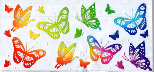 16oz Rainbow 2-toned Butterflies 67