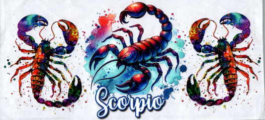 16oz Zodiac Signs 70