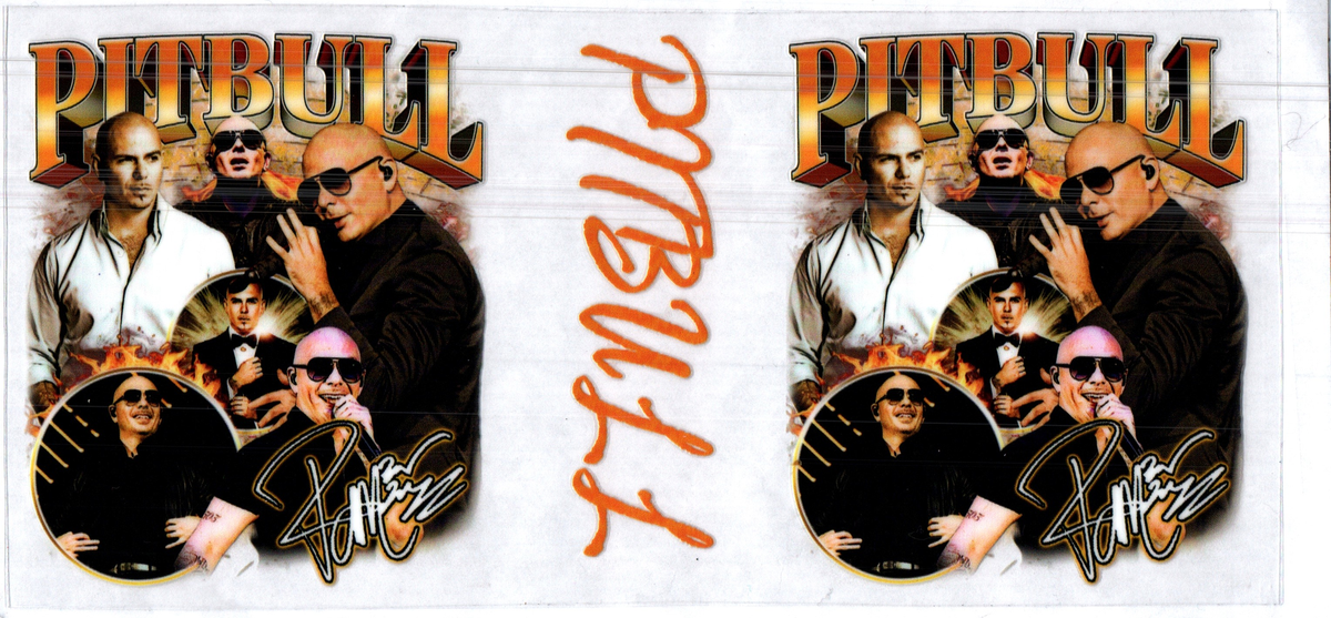 16 oz pitbull music 70