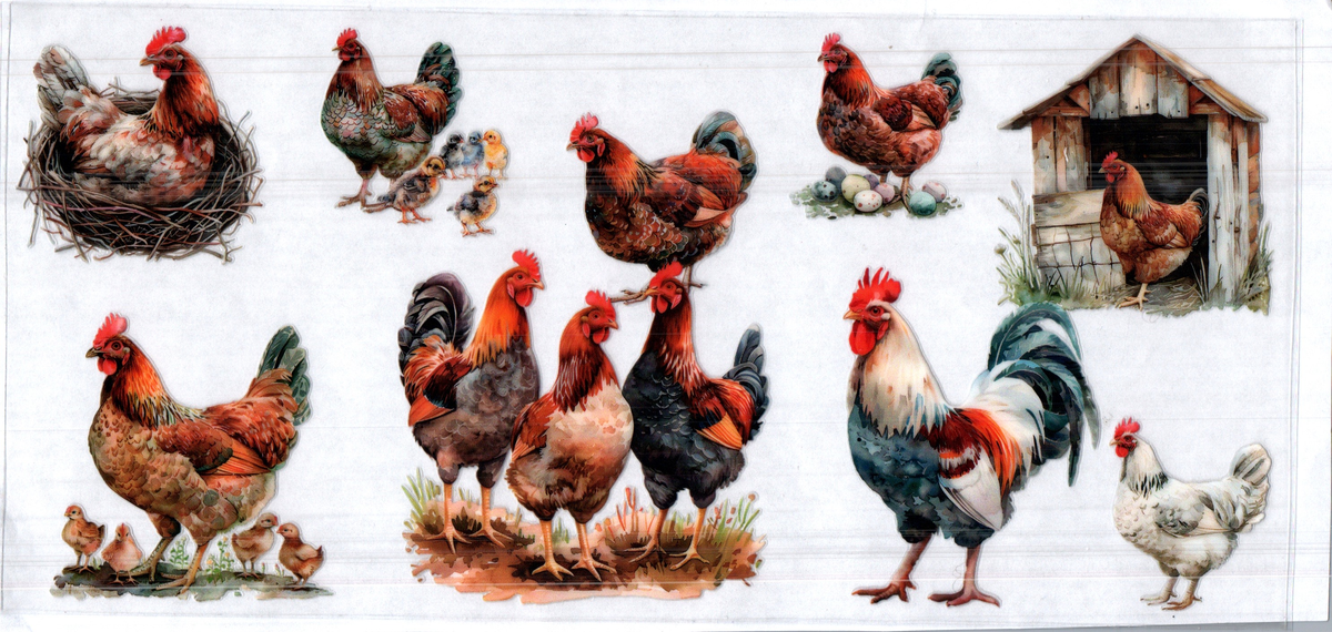 16 oz chicken different kinds assorted 72