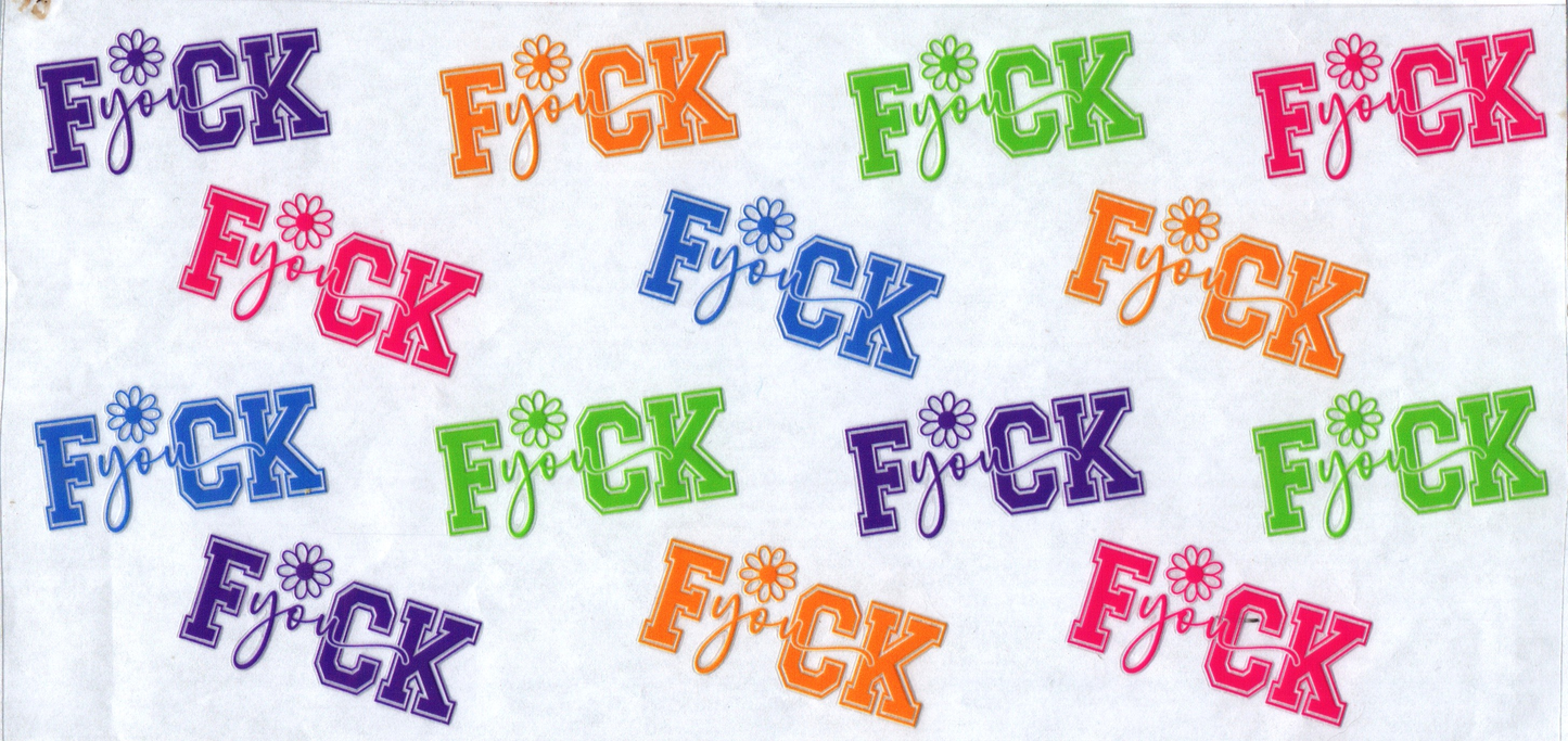 16 oz Different colored fuck you's 73
