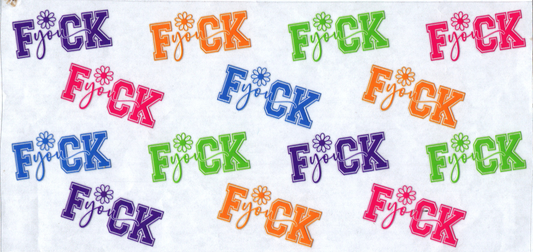 16 oz Different colored fuck you's 73
