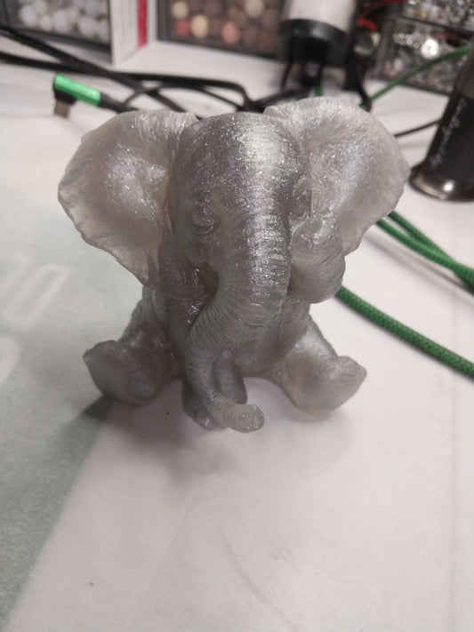 ELEPHANT WITH ONE EYE COVERED