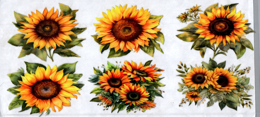 16oz Sunflowers 78