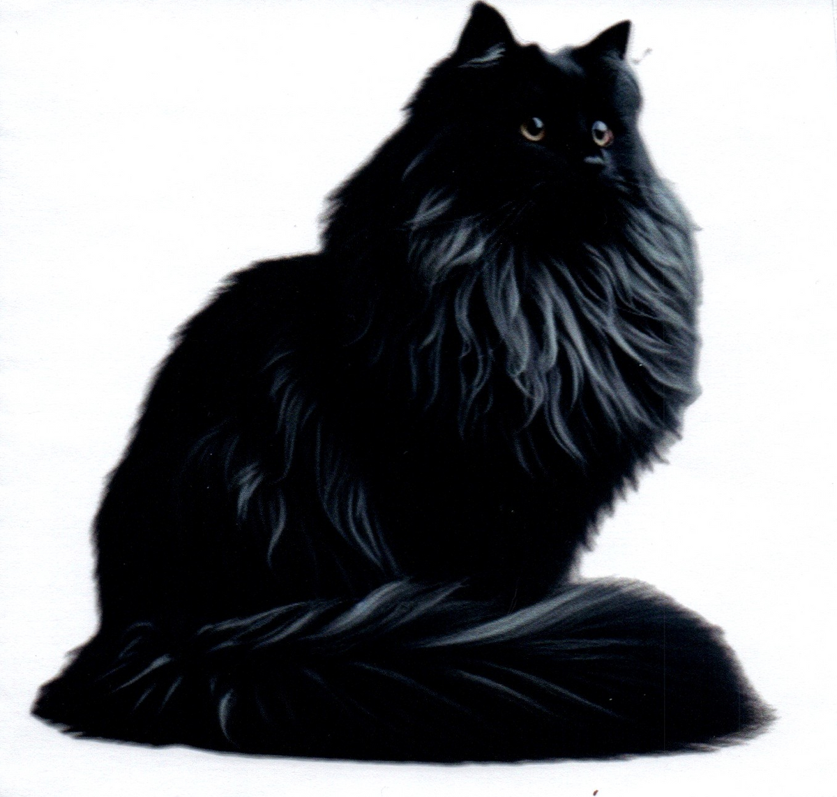 Big black cat Single Decal 81